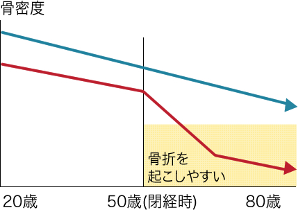 骨密度の低下時期